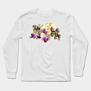 Pale Yellow and Magenta Phalaenopsis Orchids Long Sleeve T-Shirt